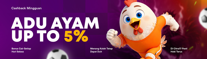 CASHBACK SABUNG AYAM 5%