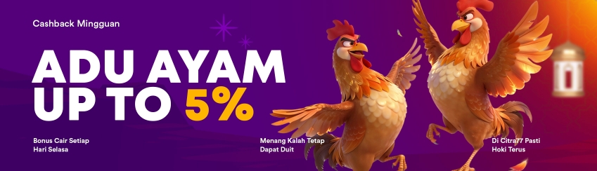 CASHBACK SABUNG AYAM 5%